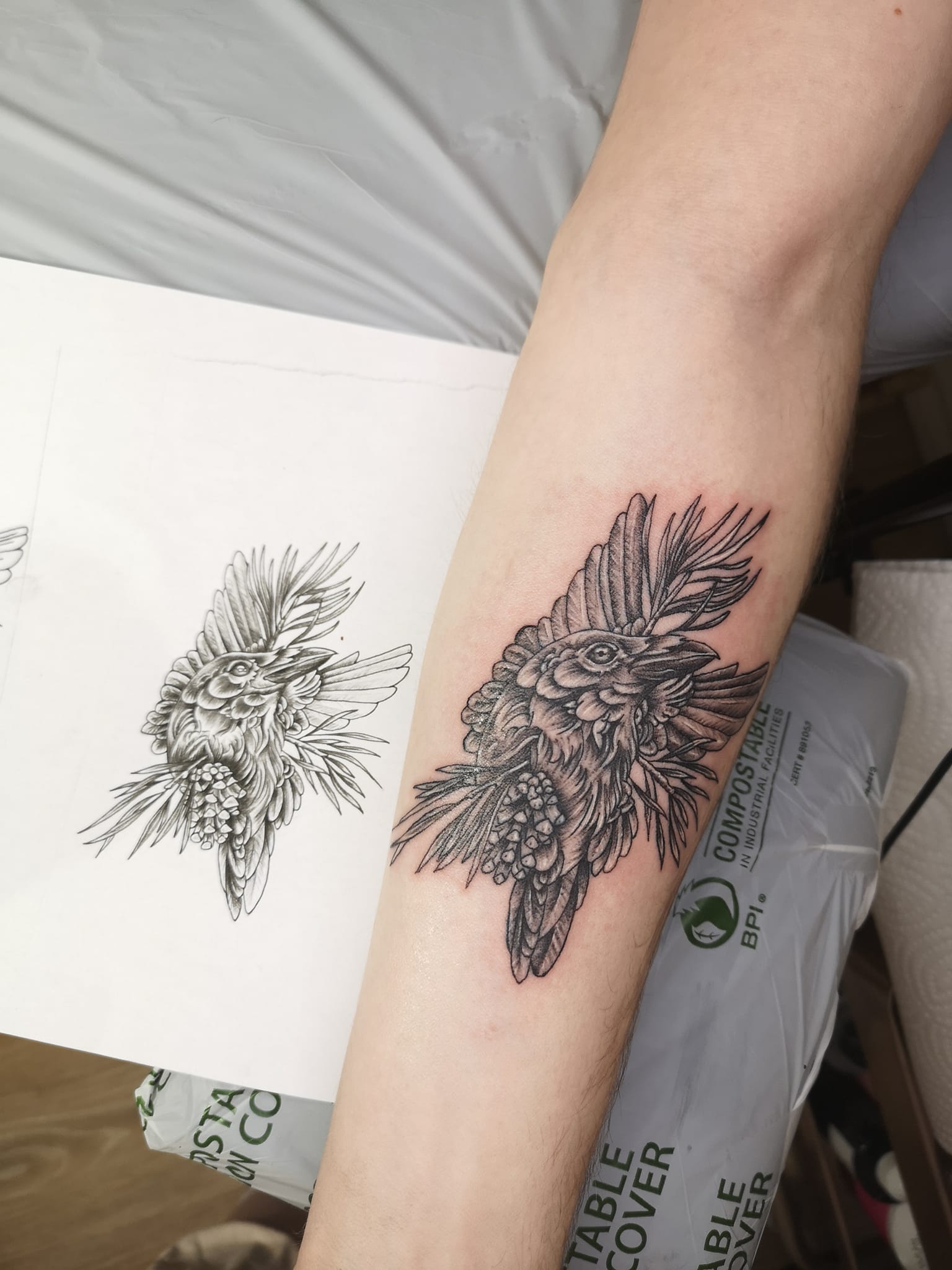 Healed and fresh tattoo work